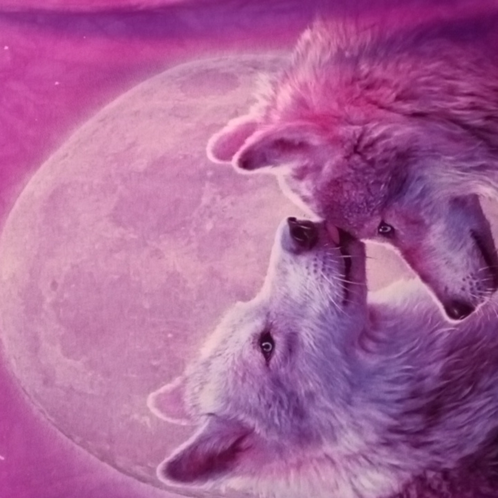 AniMall Wolves & Moon Tee Small - Picture 2 of 3